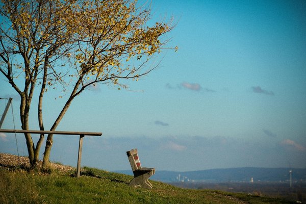 Préparation Optimale : Tout Ce Que Vous Devez Savoir pour Votre Visite chez le Radiologue