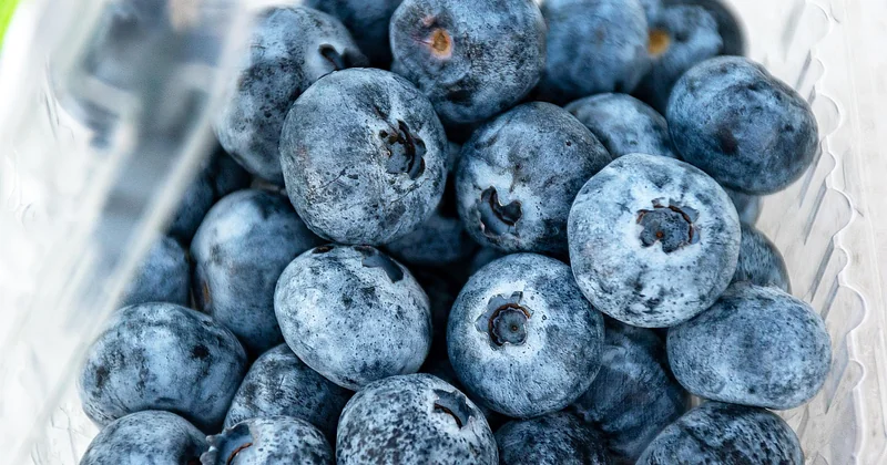 Les limites d'une approche purement alimentaire