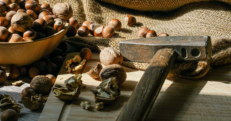 Santé digestive : les probiotiques et aliments fermentés essentiels à connaître
